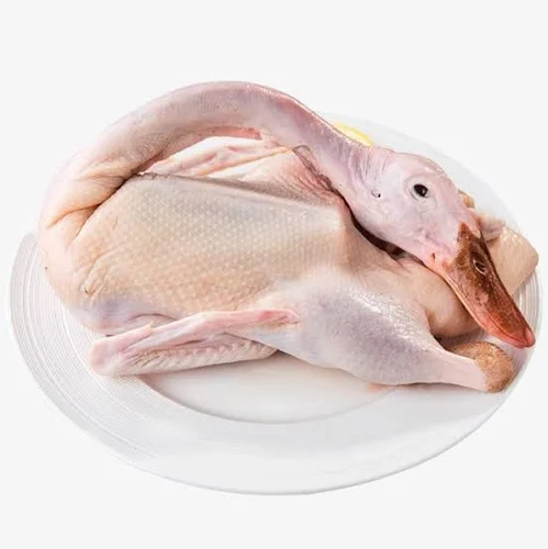 Duck Meat