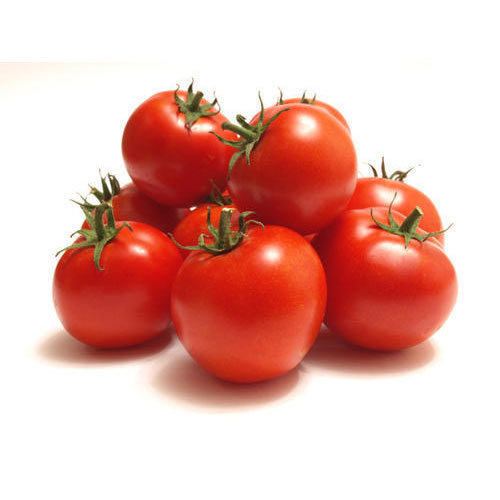 Tomato (Fresh)