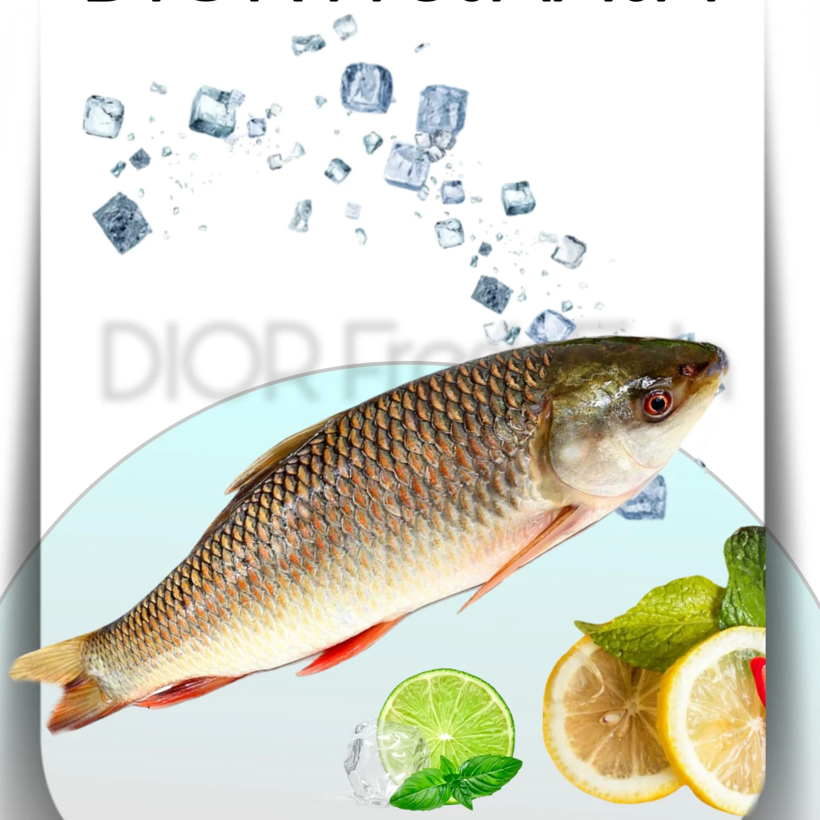 Rohu Fish (Fresh)