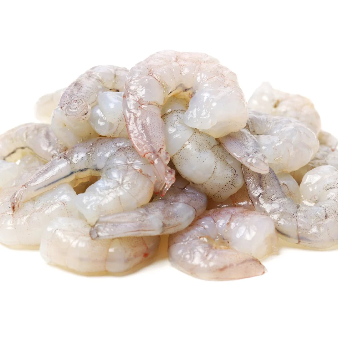 Shrimp (Medium)