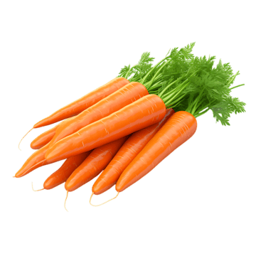 Carrot (Fresh)